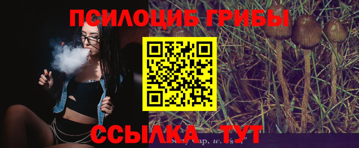 Галлюциногенные грибы Magic Shrooms Пушкино
